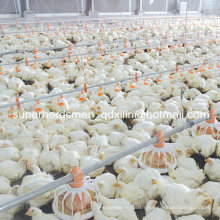 Full Set High Quality Automatic Poultry Equipment for Broiler Production